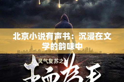 北京小说有声书：沉浸在文学的韵味中