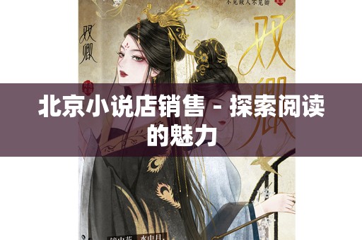 北京小说店销售 - 探索阅读的魅力
