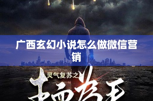 广西玄幻小说怎么做微信营销