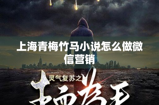 上海青梅竹马小说怎么做微信营销