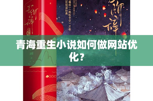 青海重生小说如何做网站优化？
