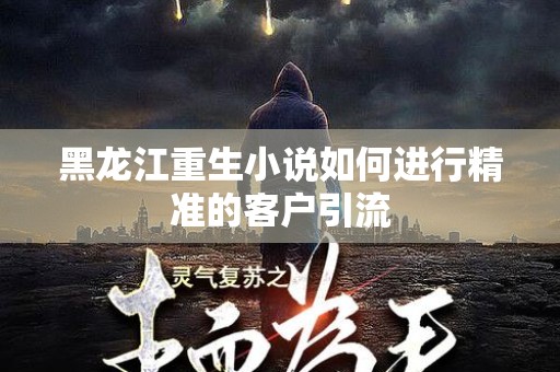 黑龙江重生小说如何进行精准的客户引流