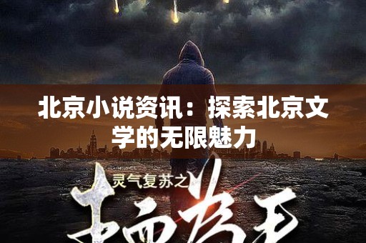 北京小说资讯：探索北京文学的无限魅力