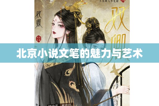 北京小说文笔的魅力与艺术