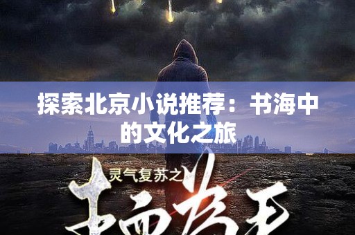 探索北京小说推荐：书海中的文化之旅